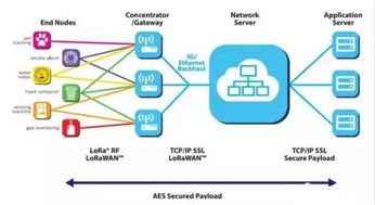 LoRaWAN 讓萬物互聯的“隱形橋梁”與其在互聯網數據服務中的關鍵角色