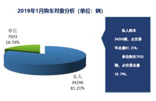 互聯網數據資訊中心199it 引領數字時代的洞察之力